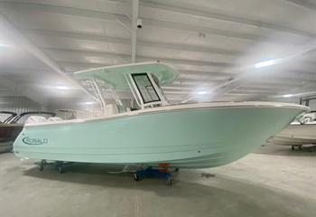 2025 Robalo R270 Sea Foam Green Boat